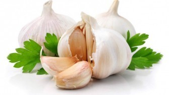 L&rsquo;Ail et ses vertus