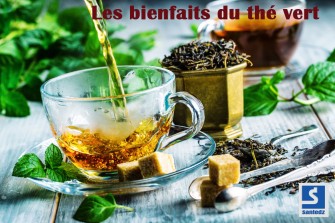 Le th&eacute; vert :  votre alli&eacute; Bien &ecirc;tre