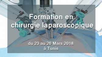 Formation en chirurgie laparoscopique, 23 au 26 Mars 2018 &agrave; Tunis