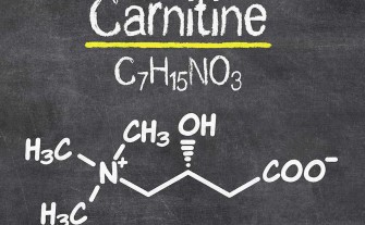  L-Carnitine 