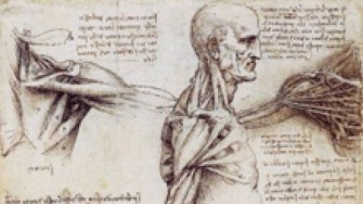 Exposition de dessins danatomie &agrave; la facult&eacute; de Tizi Ouzou