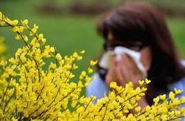 Reconna&icirc;tre une rhinite allergique et comment sen prot&eacute;ger?