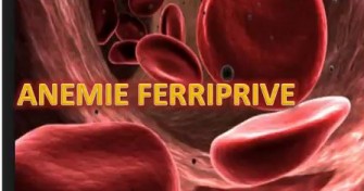 An&eacute;mie ferriprive