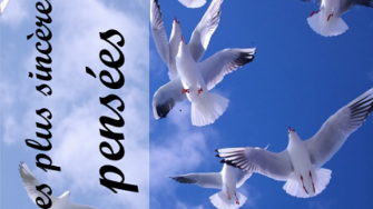 Comm&eacute;moration du 10&eacute;me anniversaire du professeur Bachir Mentouri