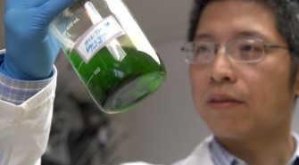 Une avanc&eacute;e pour des cr&egrave;mes solaires plus bio