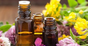 Laromath&eacute;rapie au service des femmes