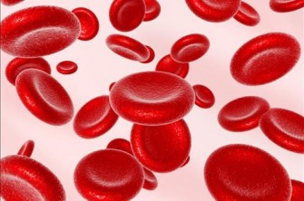 Quest que lh&eacute;mophilie et comment r&eacute;agir face &agrave; cette maladie rare