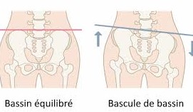 La bascule du bassin 