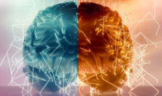 D&eacute;couverte Neuroscience: Comment pourrait-on gu&eacute;rir dune paralysie suite &agrave; un AVC