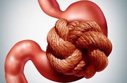 Hygi&egrave;ne de vie pour am&eacute;liorer son transit intestinal 