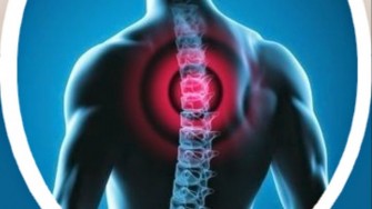 Journ&eacute;es d&rsquo;information sur l&rsquo;ost&eacute;opathie