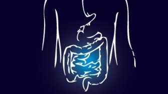 Synth&egrave;se de la 7&deg; Journ&eacute;e de GastroEnt&eacute;rologie