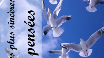 Pens&eacute;e : le Professeur Yamina Benkeddache