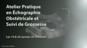 Atelier en &eacute;chographie