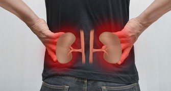 Le syndrome nephrotique 