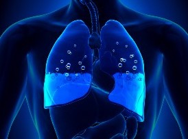 L&rsquo;&oelig;d&egrave;me pulmonaire