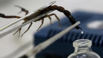 Mise au point d&rsquo;une nouvelle technique de visualisation des cellules tumorales  