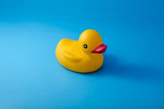 Les canards en plastique: de v&eacute;ritables nids &agrave; bact&eacute;ries