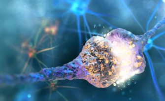 Maladie dAlzheimer : Une d&eacute;couverte expliquerait pourquoi tant dessais cliniques &eacute;taient un &eacute;chec