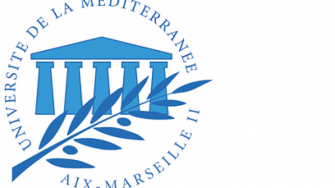 Master en Expertise et ing&eacute;nierie des syst&egrave;mes dinformation en sant&eacute;