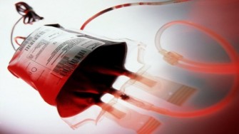 La Soci&eacute;t&eacute; Alg&eacute;rienne dH&eacute;matologie et de Transfusion Sanguine