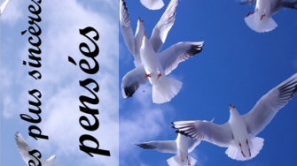 Comm&eacute;moration du 15 &egrave;me anniversaire du d&eacute;c&egrave;s du professeur  Ahmed AROUA