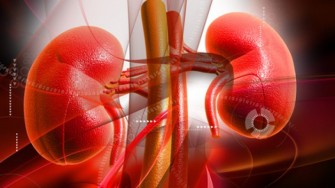 Cancer m&eacute;tastatique du rein : l&rsquo;immunoth&eacute;rapie combin&eacute;e d&eacute;&ccedil;oit&hellip;presque toujours !