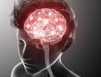 Les crises dabsences &eacute;pileptiques